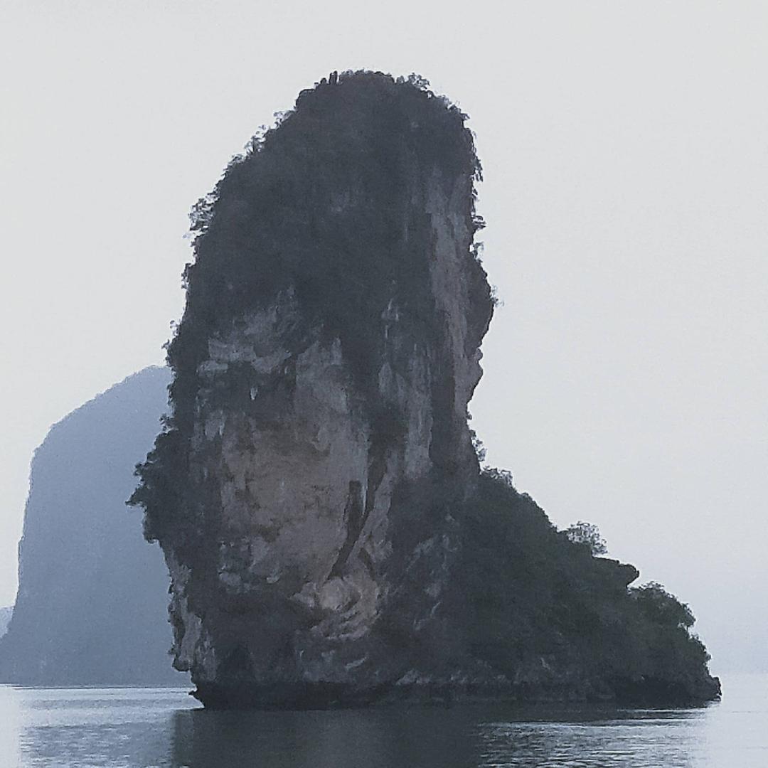 金牛莱