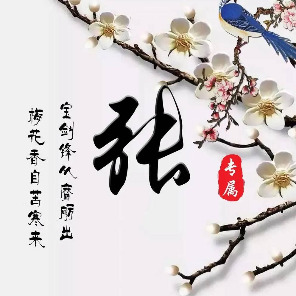 地球是圆的123