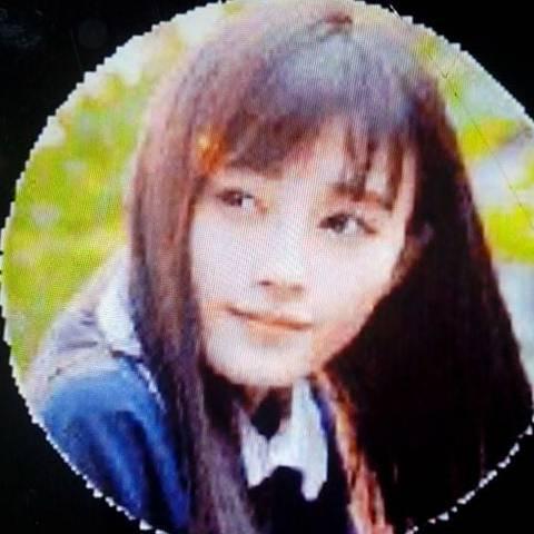 美美16946006