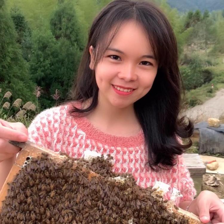 蜜蜂小妹
