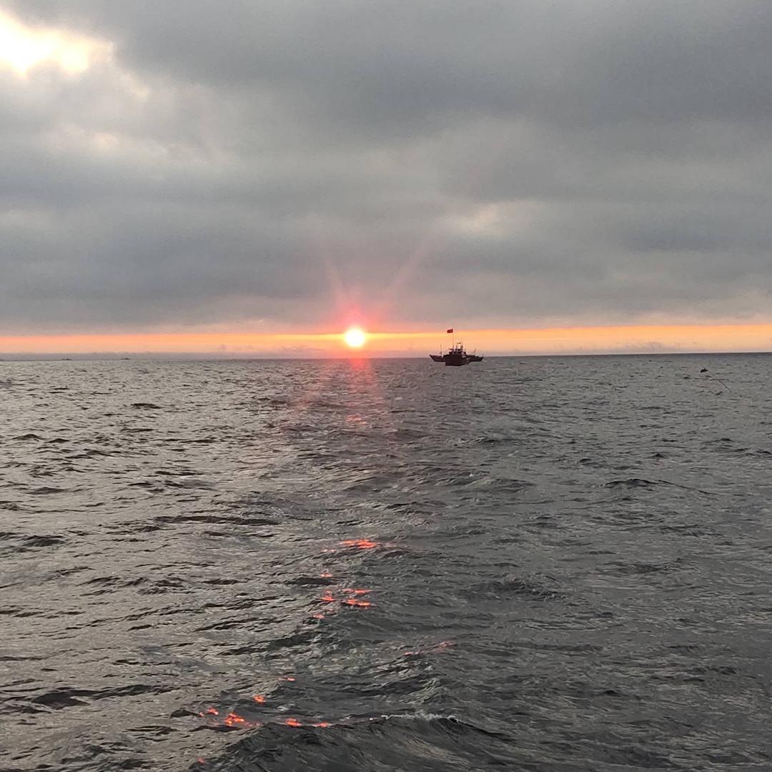 干喝不倒就想醉