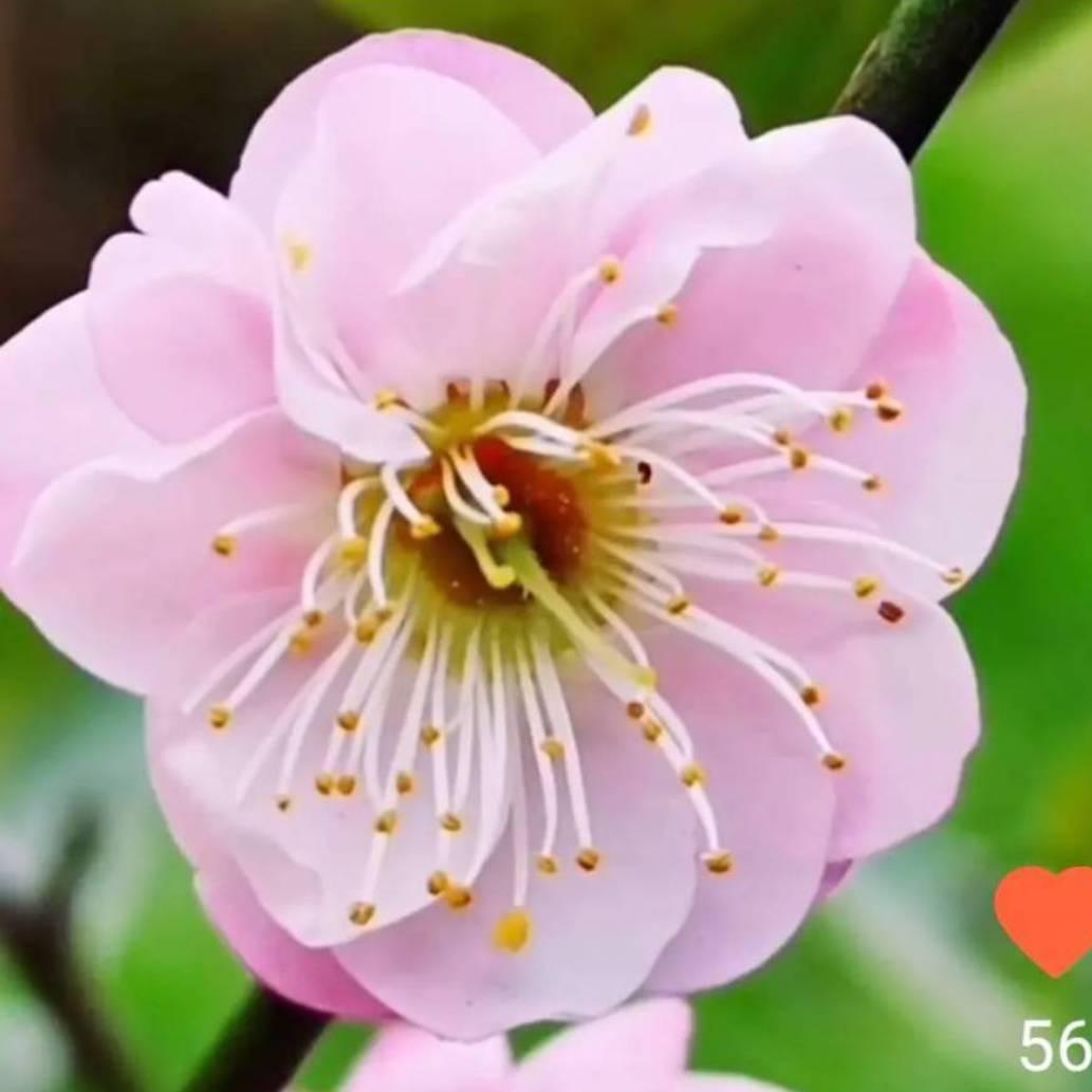 木易68🍎（手机里的世界）