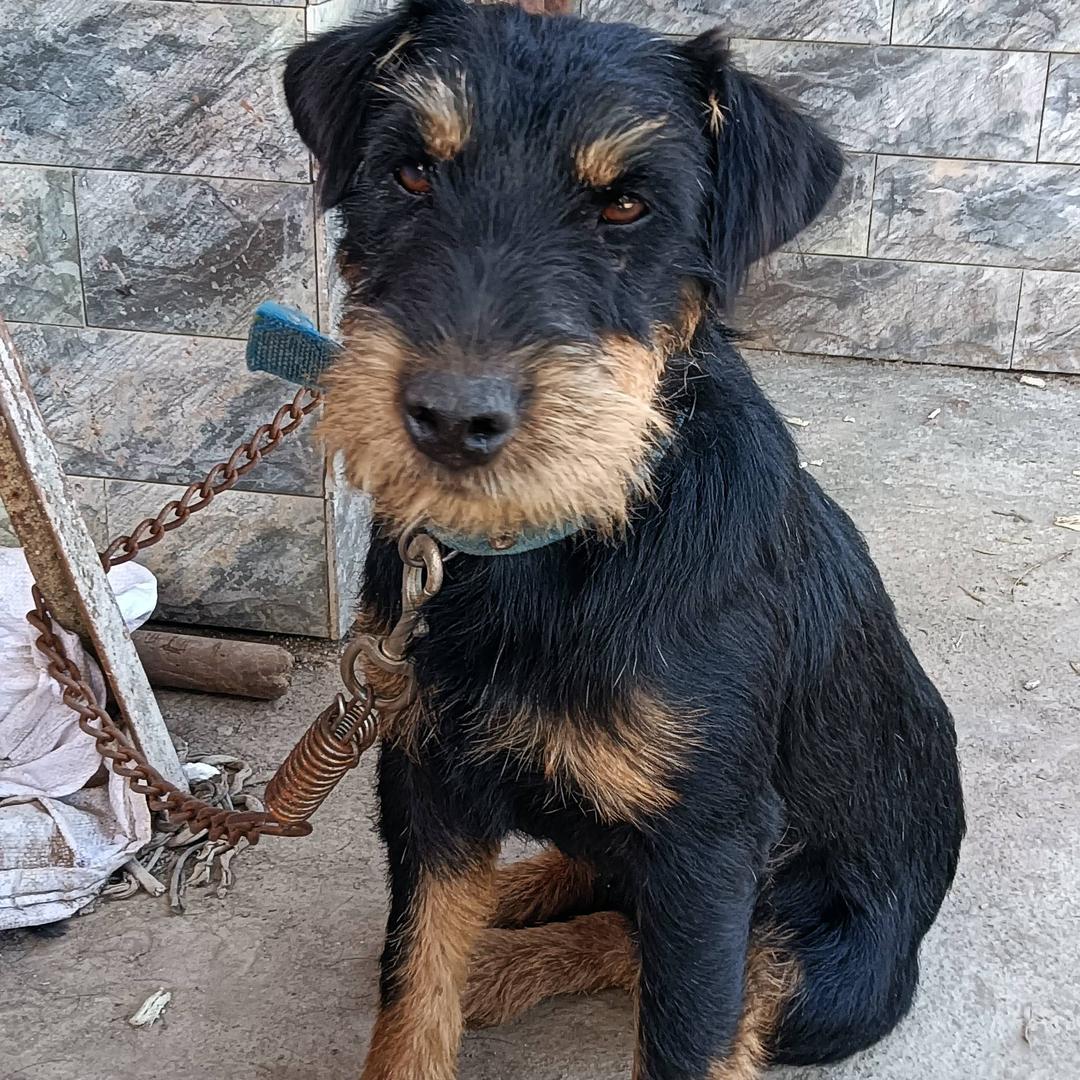 小全能户外鑫哥