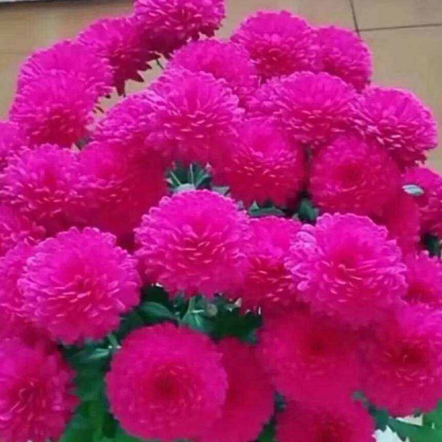 玫瑰花火火@