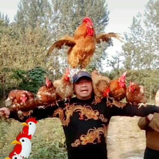 徐州周老七