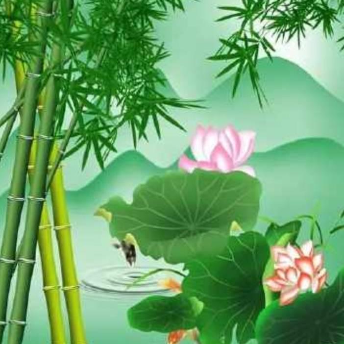 小艺成长记a