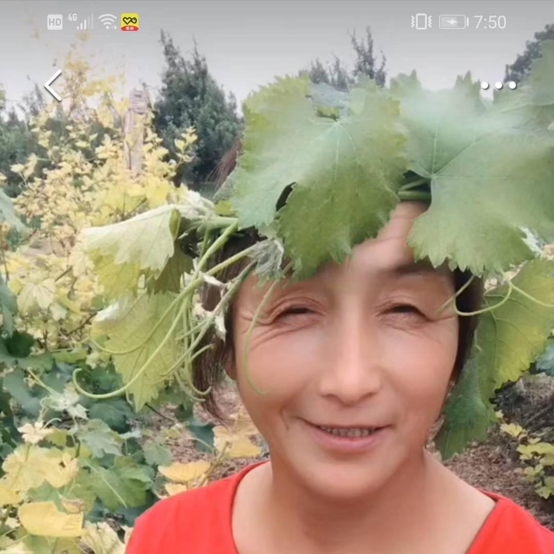 幸福农村人老杨