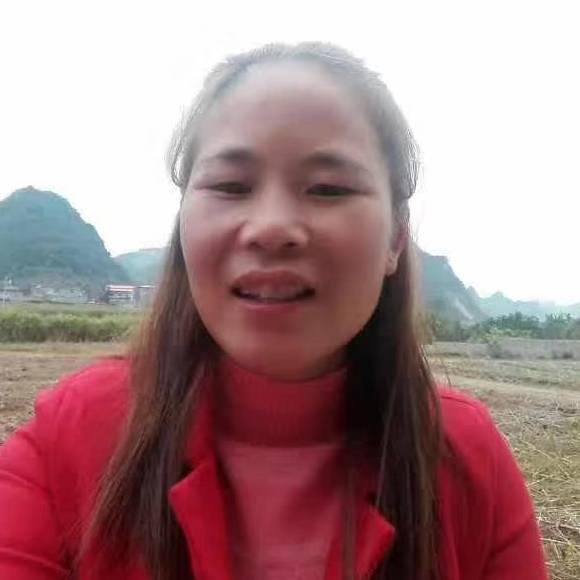 天鹅之梦