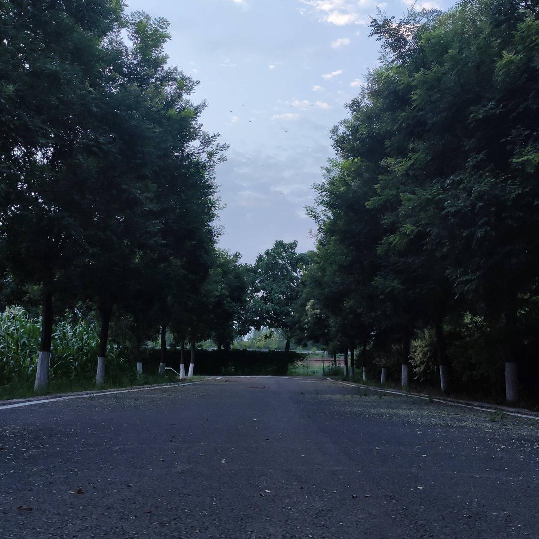 很好的自己