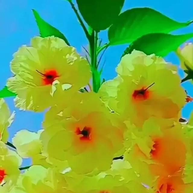 ☀邀月对影☀