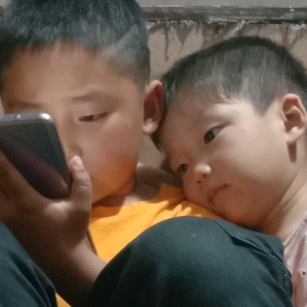 诺诺楷
