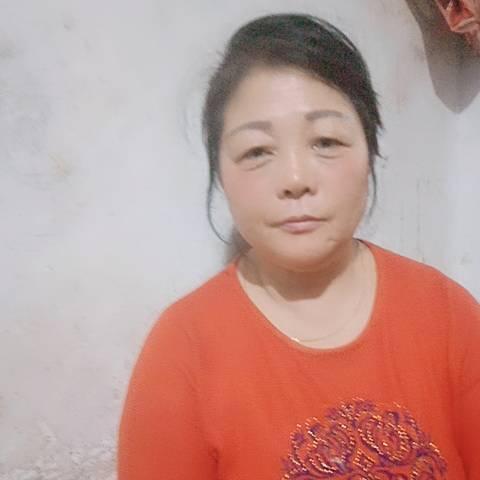 刘苹