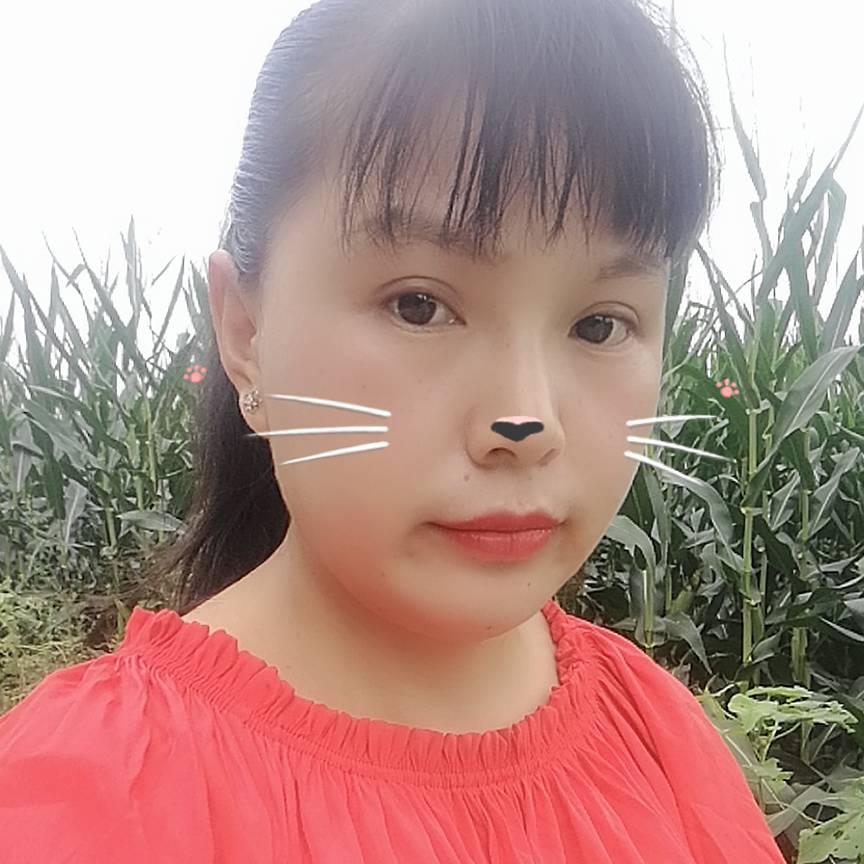 🍃:海凤纯手工雪糕🍀阿胶糕