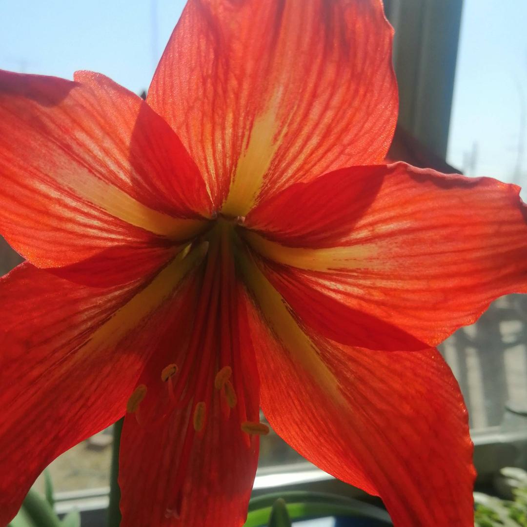 花好月圆2764