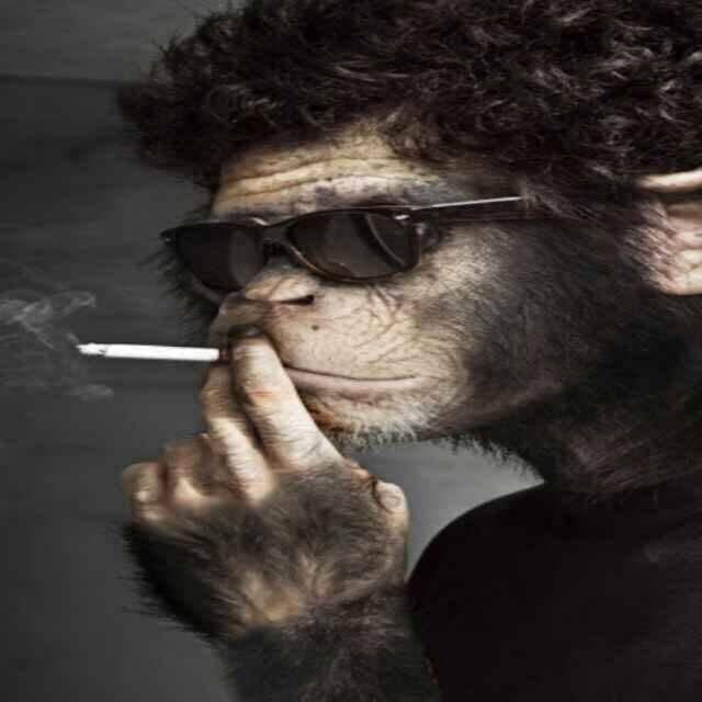 罗马复兴大炮