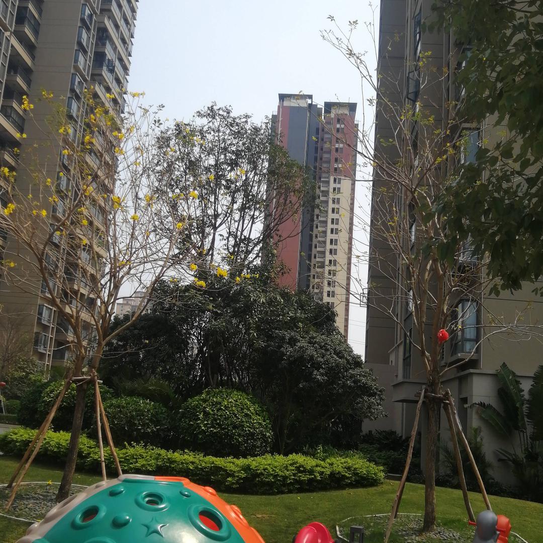 杨立春