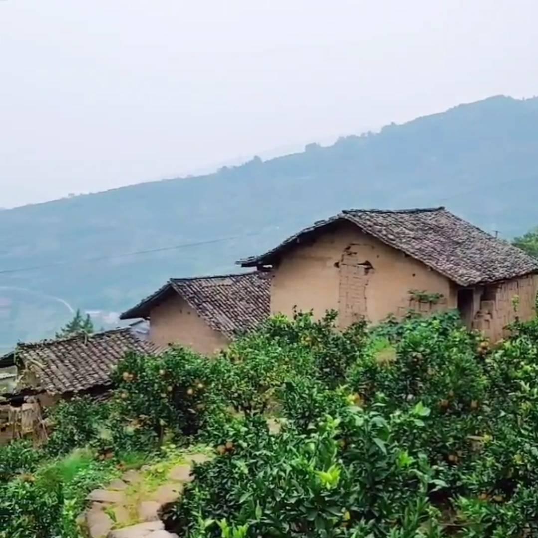 农村的狐小姐