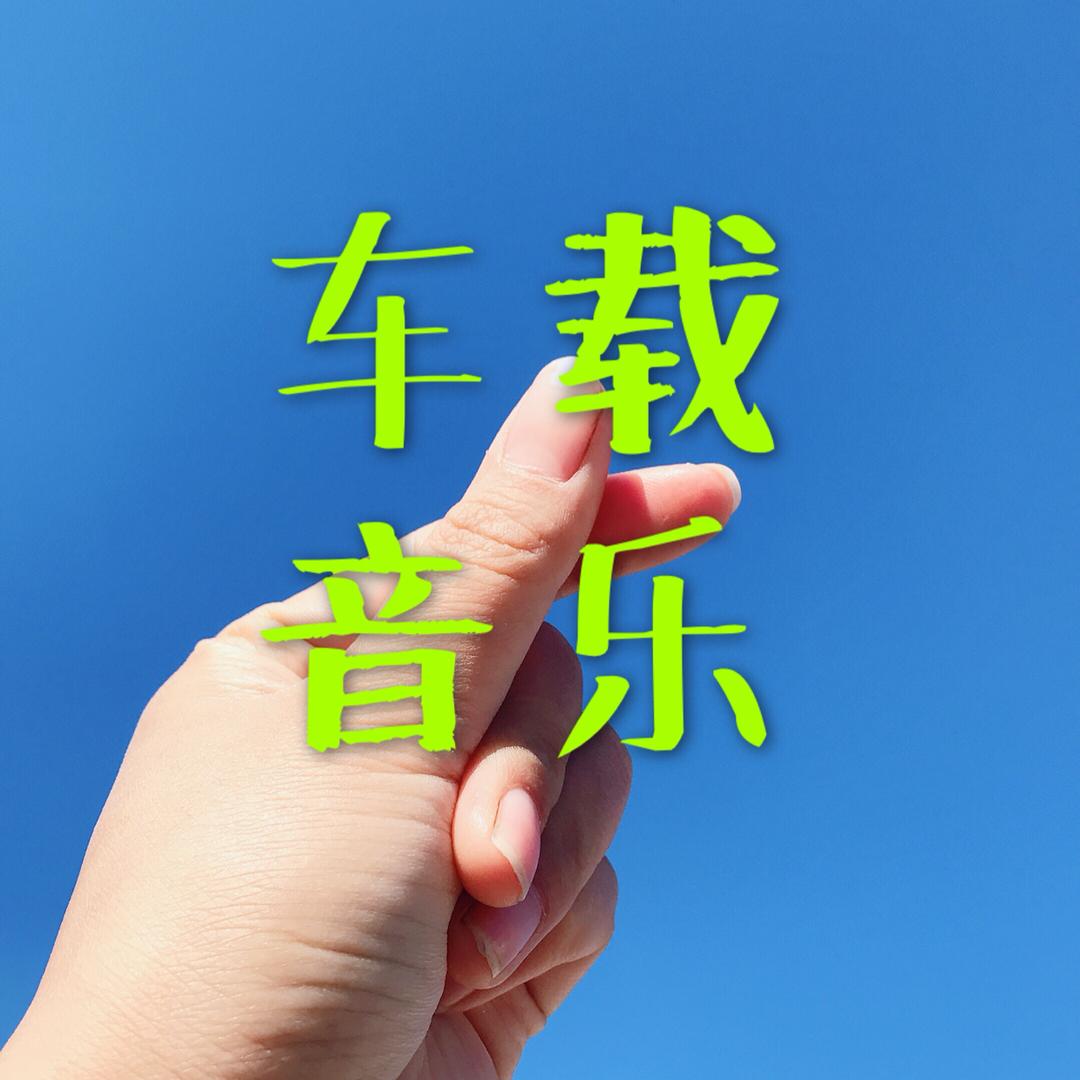 车载音乐🎵🈶️盘