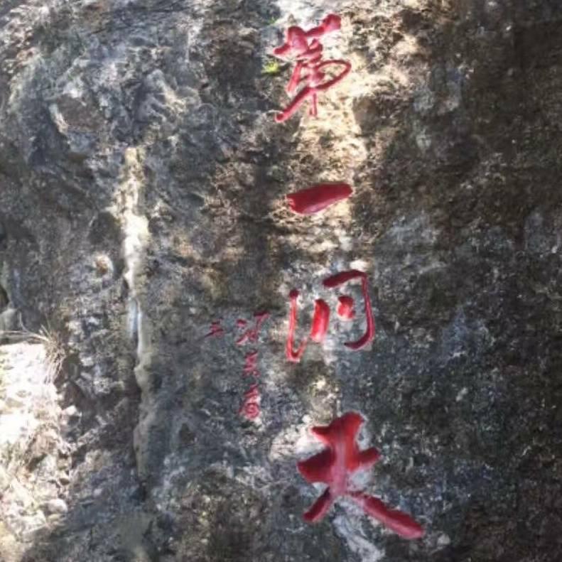 回到家乡看看