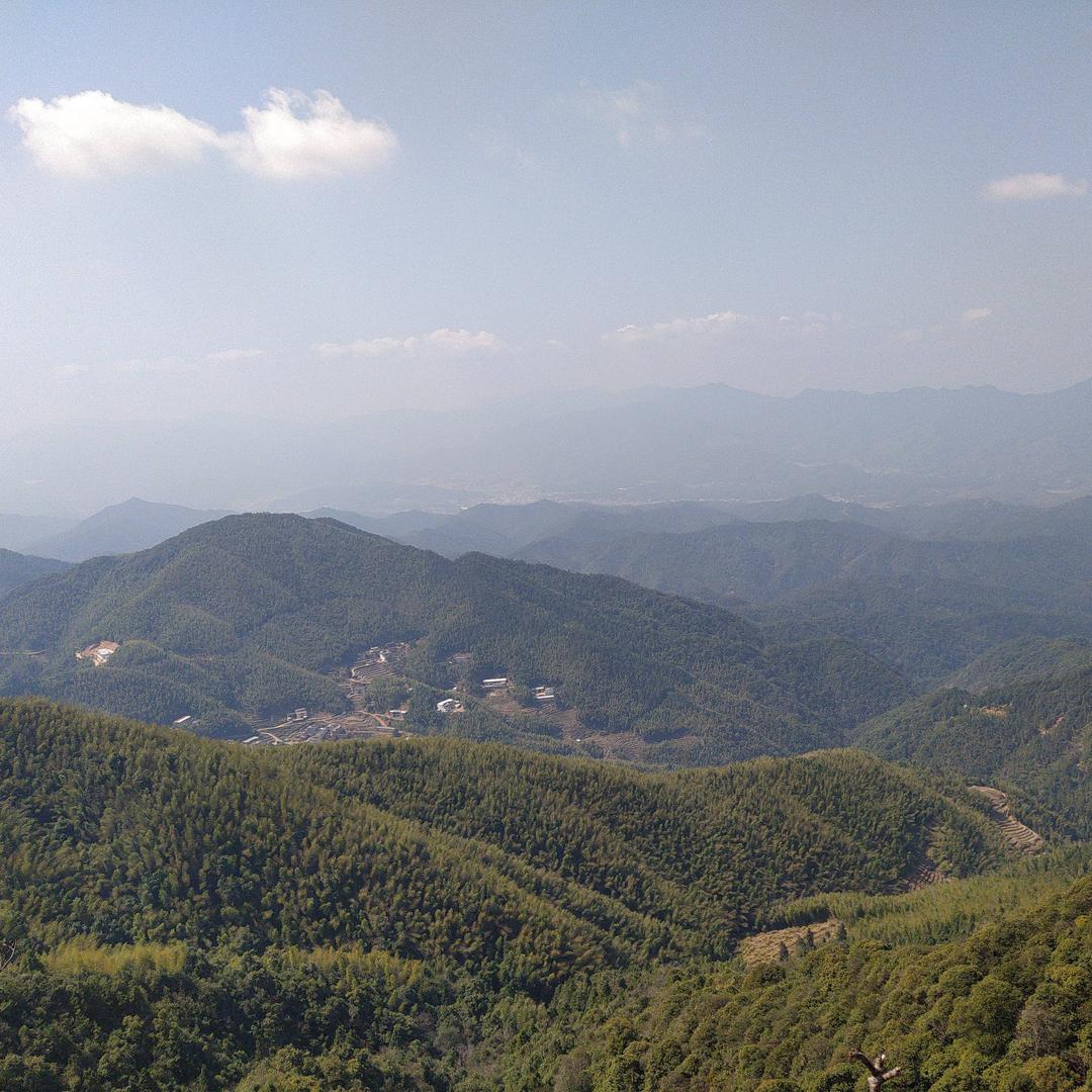 临冬已至