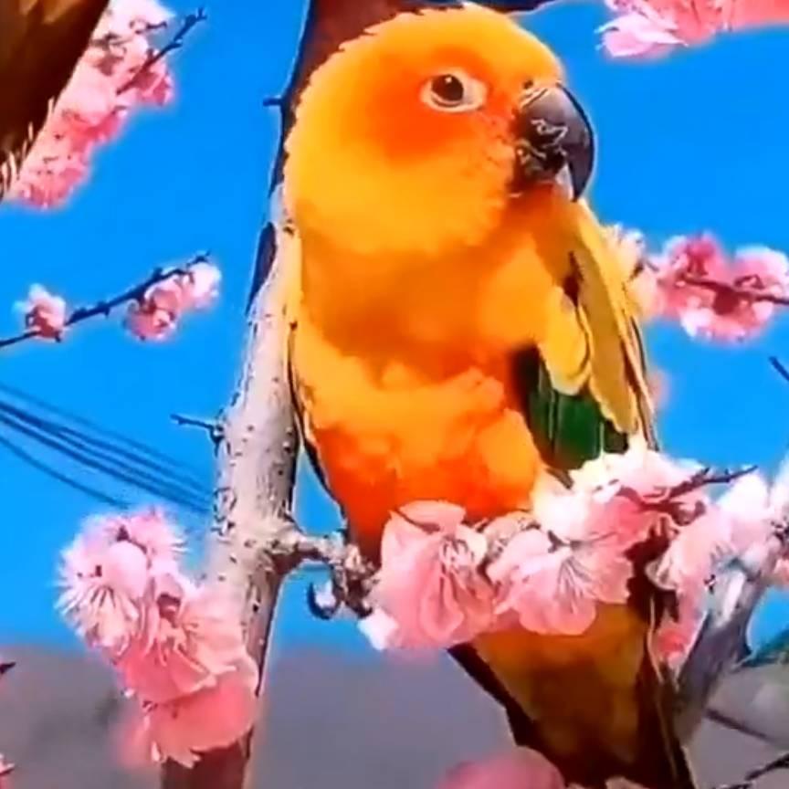 雁南飞3213