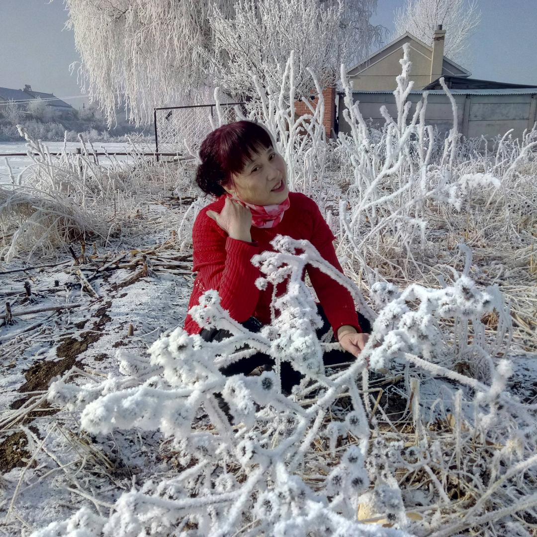 雪映梅红3