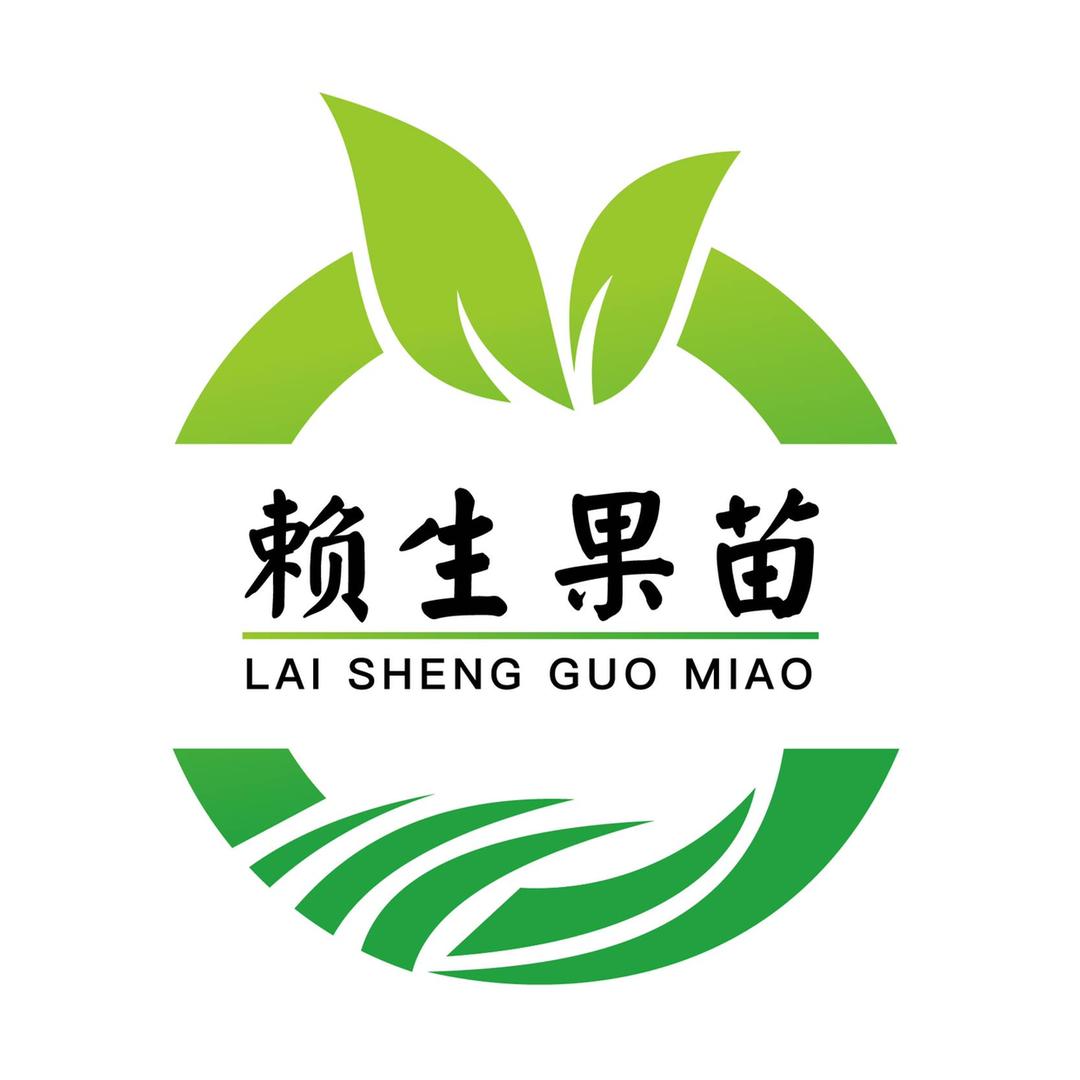 赖生果苗