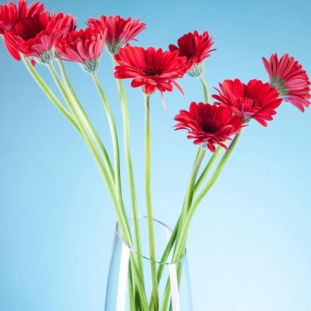 四季海堂森林美容师