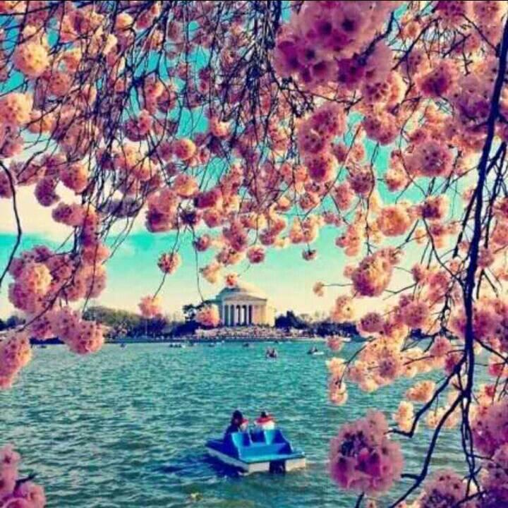 天空依然蓝🌹