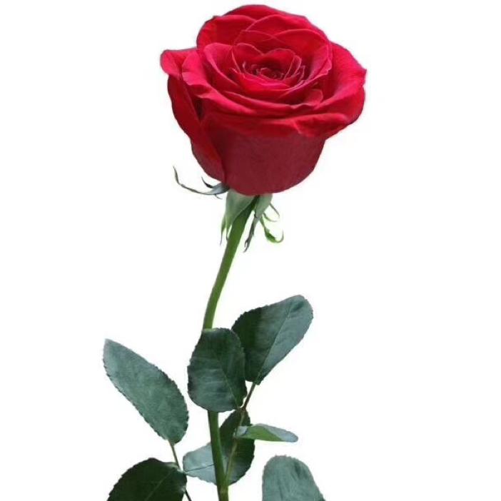 一半清醒，一半醉