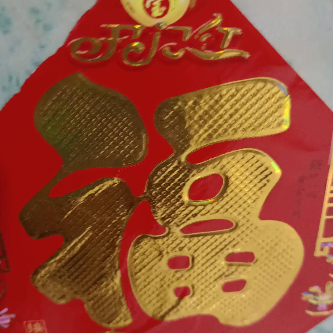 云龙9dt8