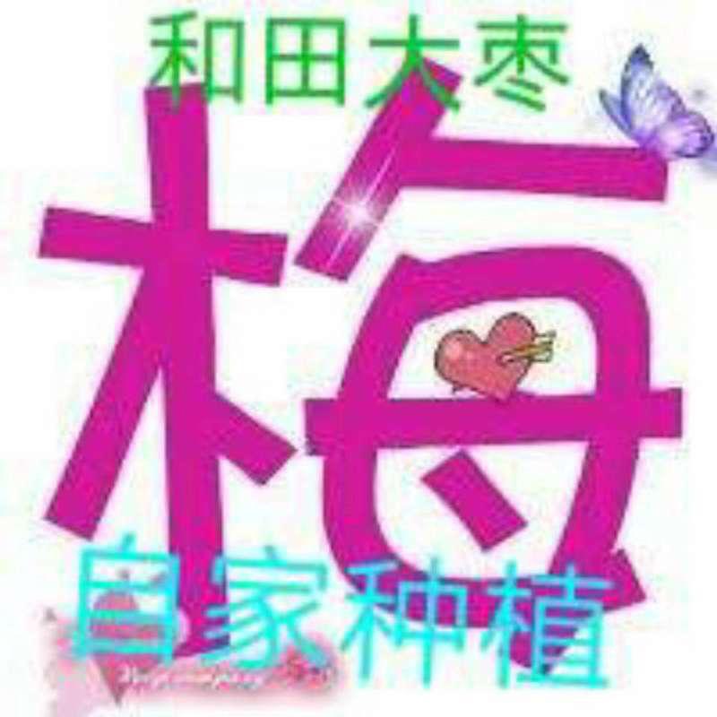 梅子在新疆