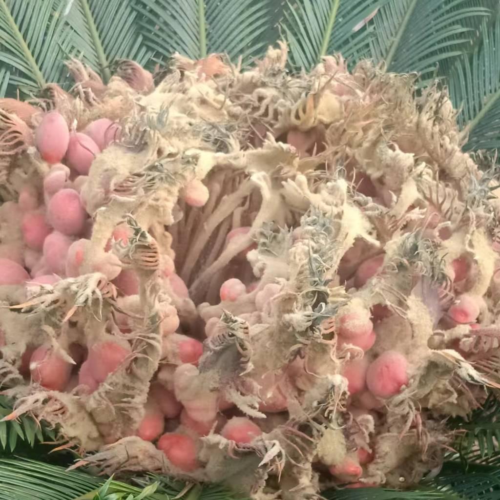 为你加油