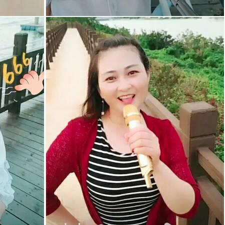 迎春兔子