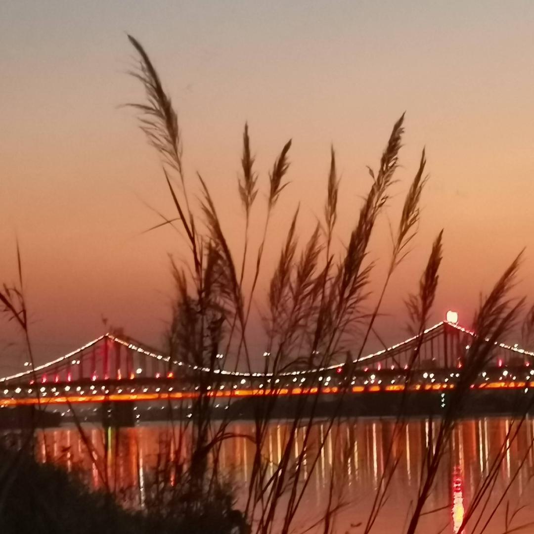 江南小陌