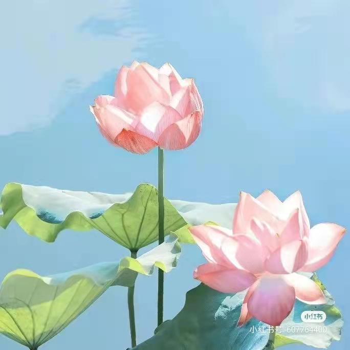 知足常乐、