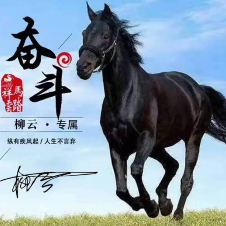 奋斗，骚年🐴