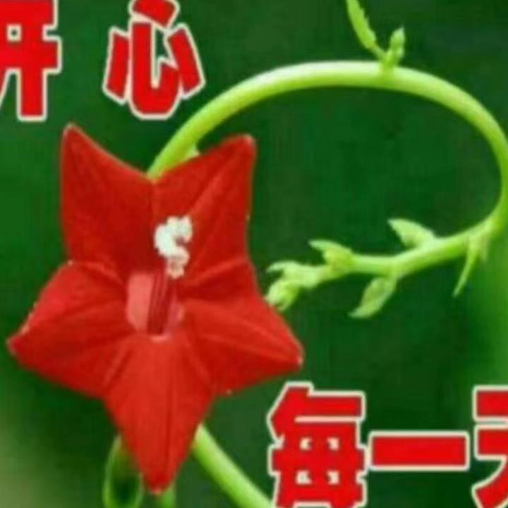 我的家乡最美丽啊