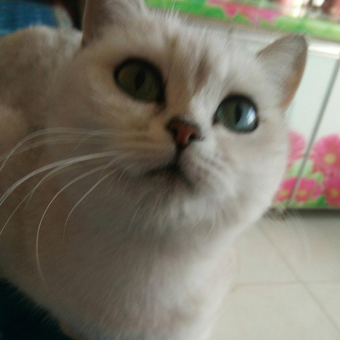 晴空万里