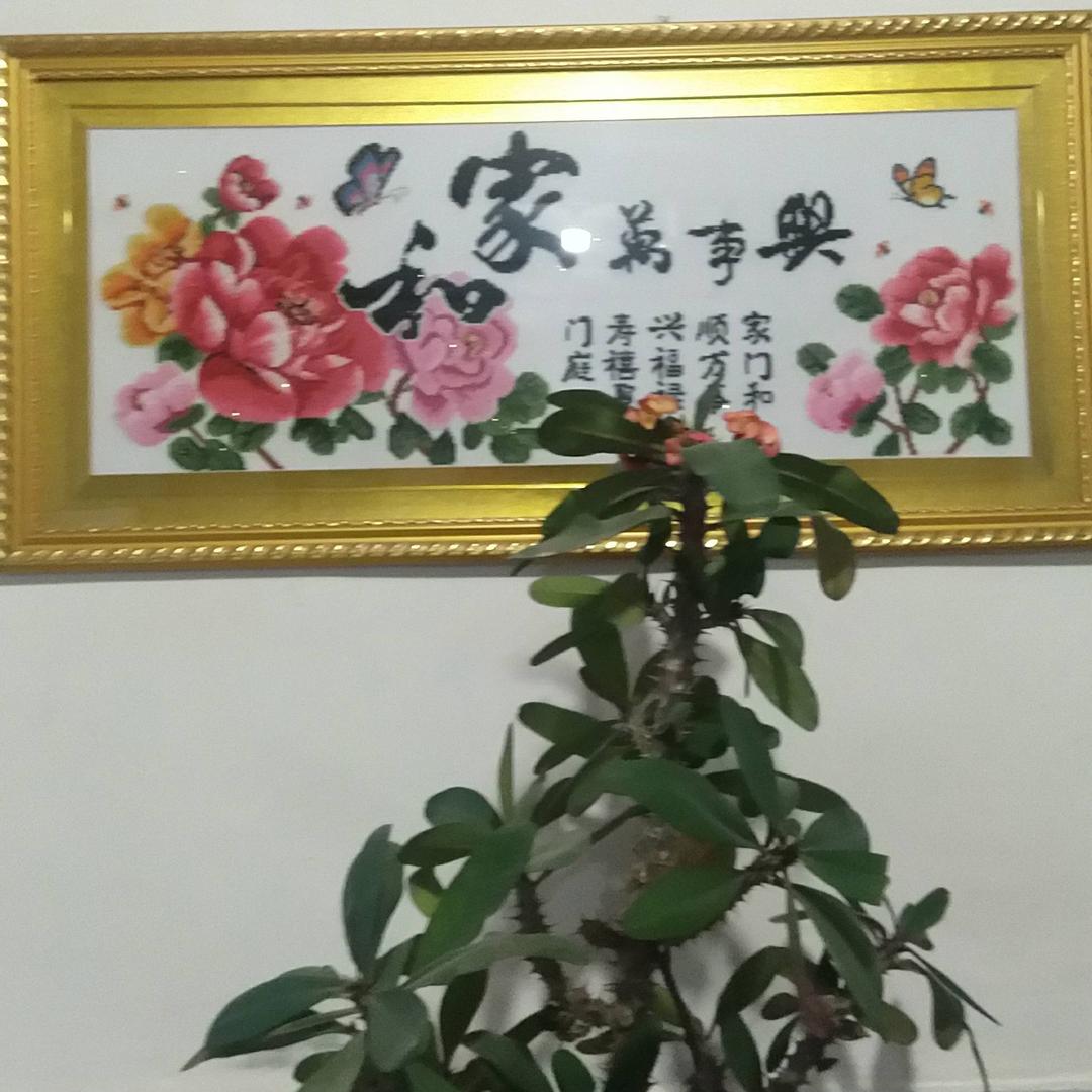 快乐一生_2dcg