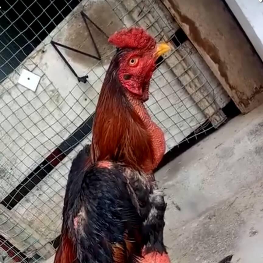 手机用户249541