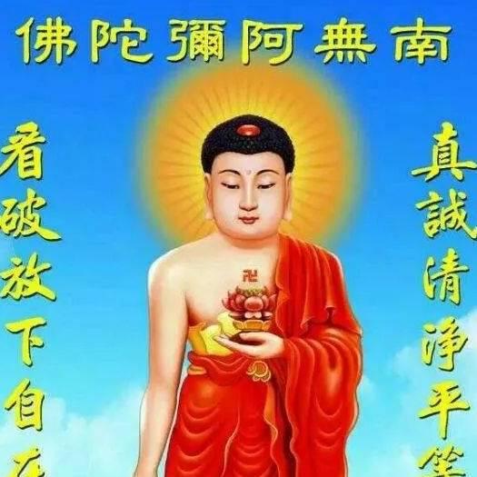 用户84479008