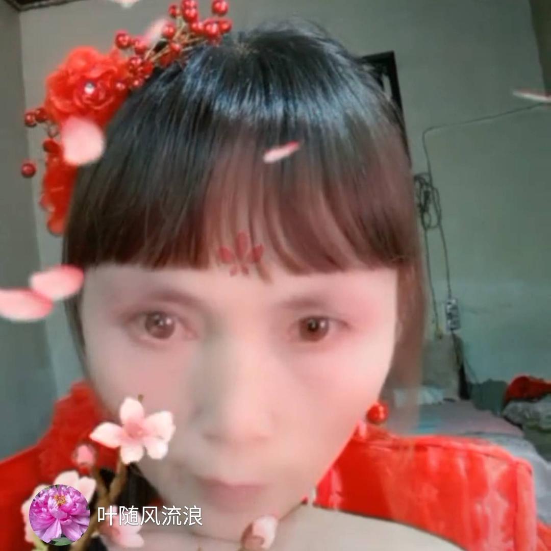 叶随风流浪