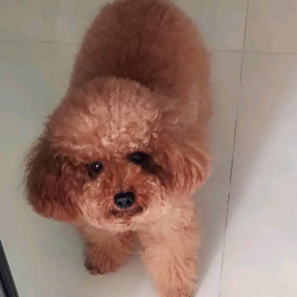 走出三界不问世事