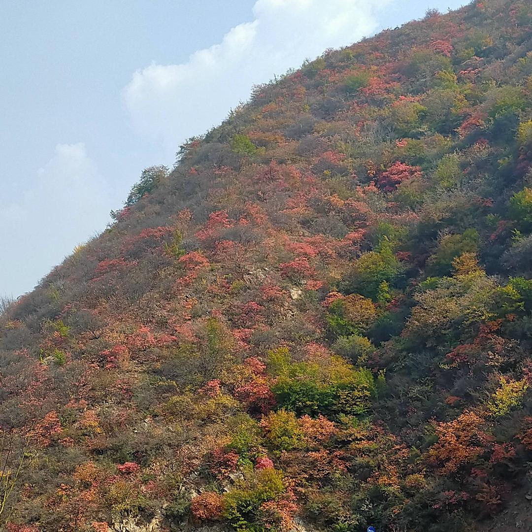 安妮(爱旅游)