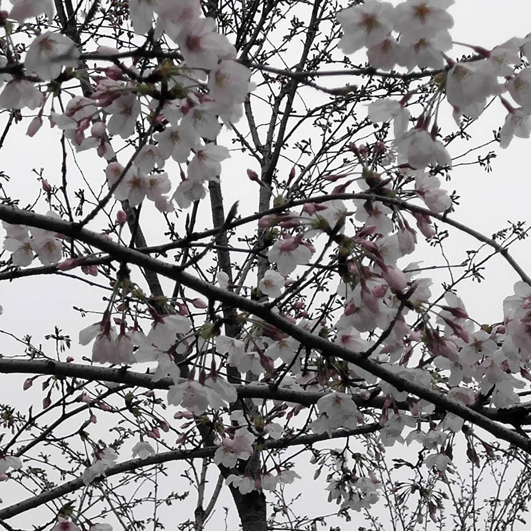 学菇历险记之写写写