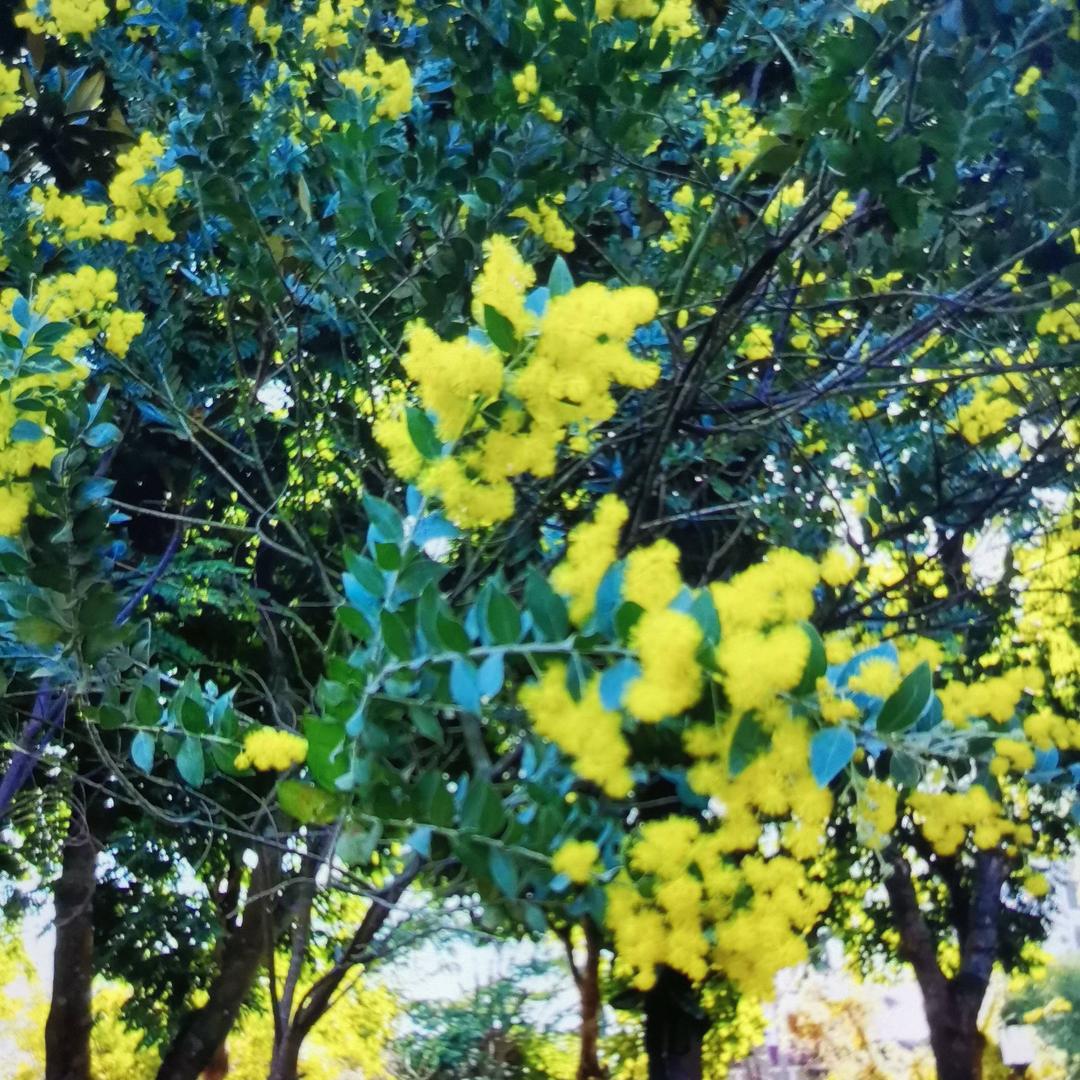 鑫宇奶奶