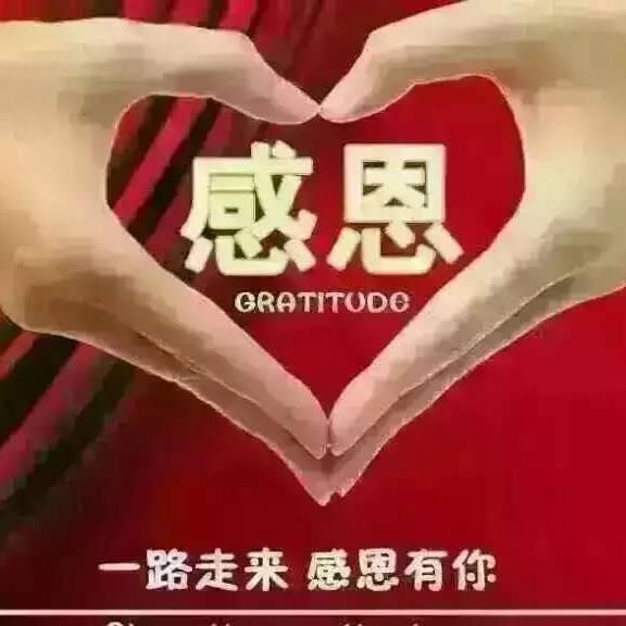 人生经历
