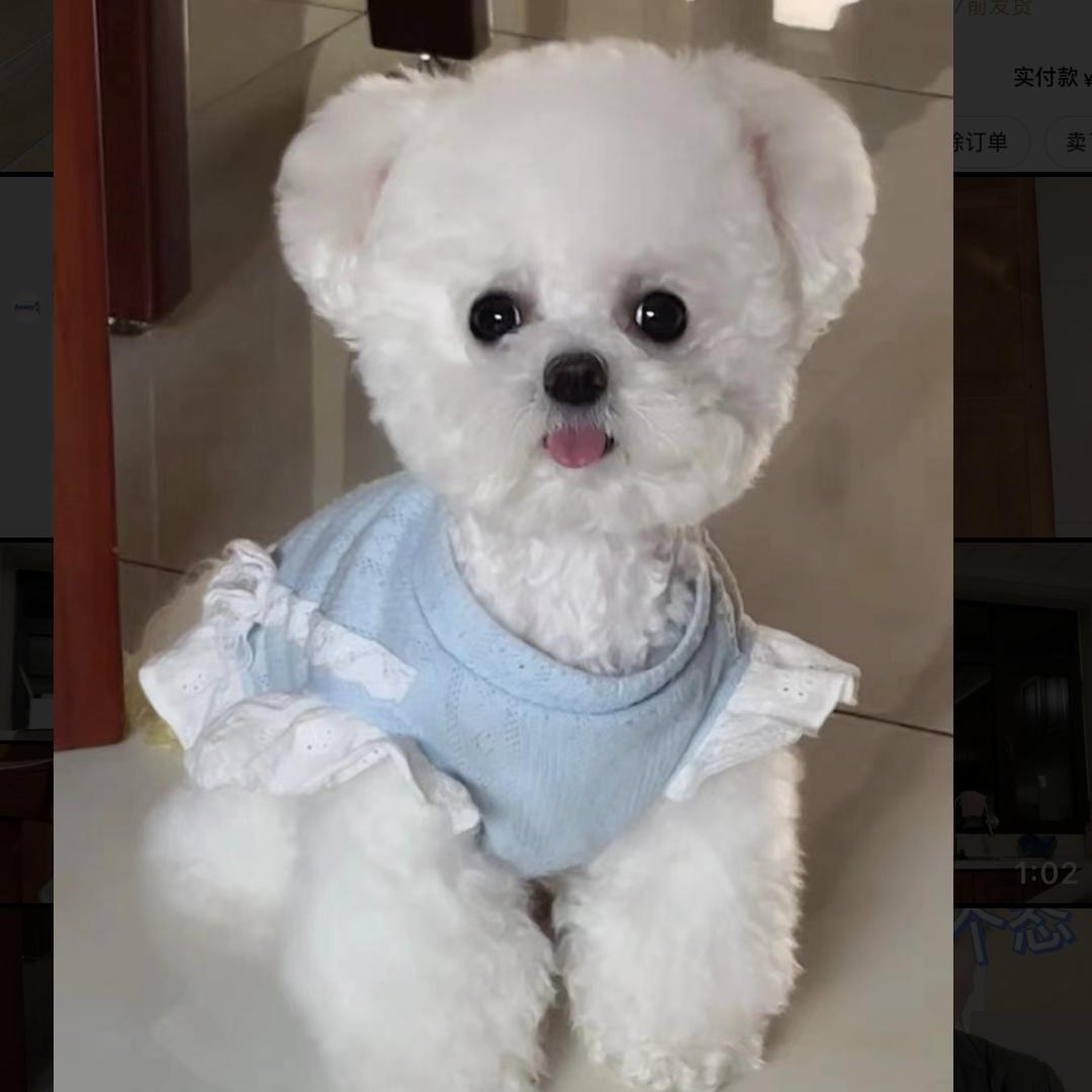 胖子熊🐻