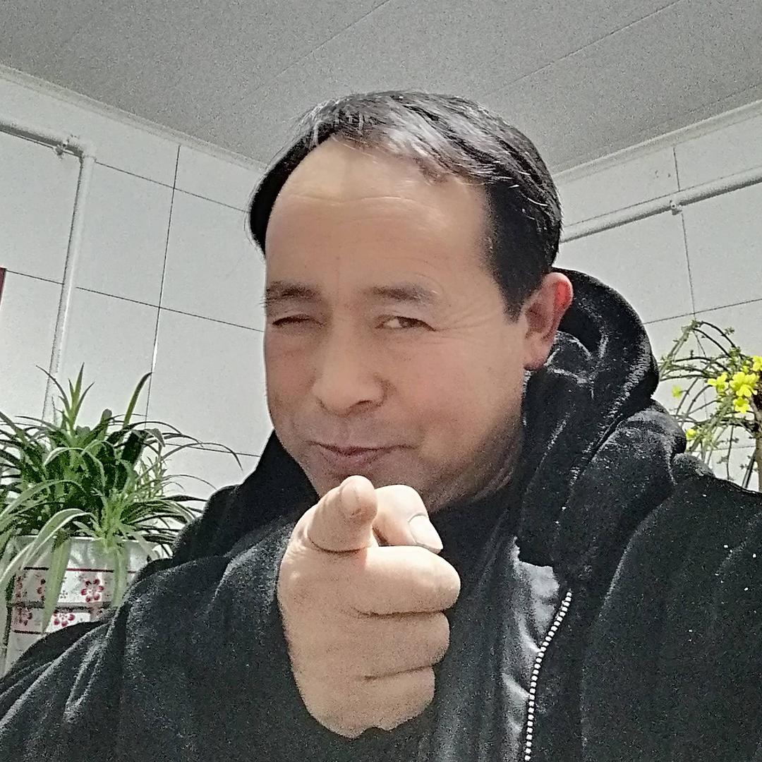 双有
